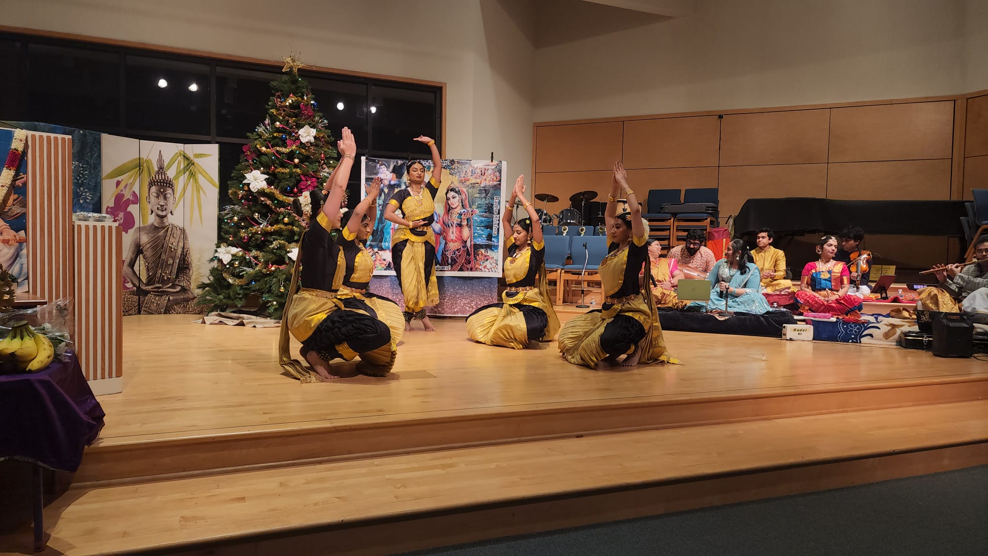 Professional Level Classes